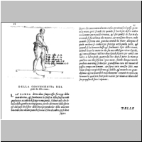 pages14-15.jpg