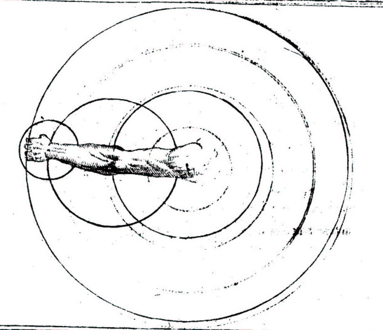 The sword divided into its four parts